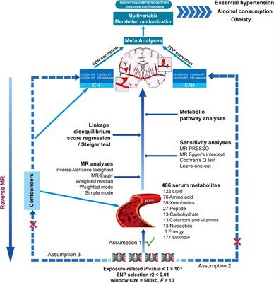 Exploring the causal association between genetically determined circulating metabolome and hemorrhagic stroke